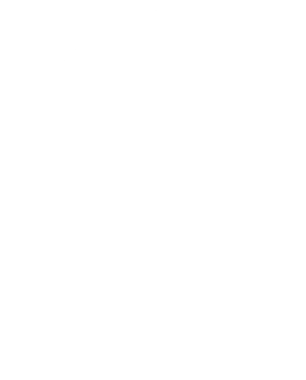 Koch beendet Burger von Tante Pana-Das